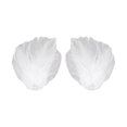 thumbnail image 1 of 1 Pair Feather Hair Clip White Black Ballet Skirt Hairpin Daily Wear Hair Clip Birthday Dance Role Play Accessory, 1 of 8