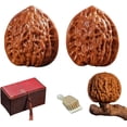 thumbnail image 1 of 1 Pair Jade Walnuts, Wenwan Walnuts, Chinese Walnuts Fidget for Hand Exercise, 2026 New Natural Massage Balls for Stress Relief, Focus & Meditation, Form Raw Shell to Jade Like Gem (B2, 38-39mm), 1 of 7