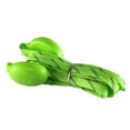 1 Pair LED Nylon Shoelaces Light Up Glow in The Dark Shoelaces for