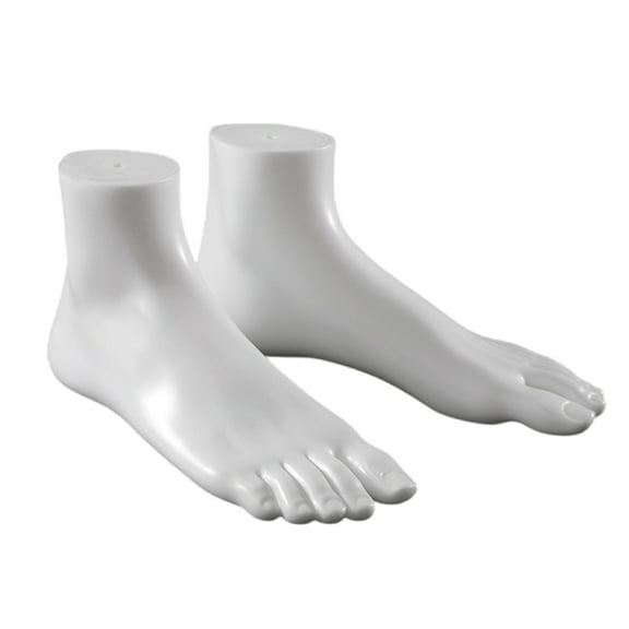 1 Pair Realistic Female Foot Anatomical Model Teaching Foot Anatomy Model