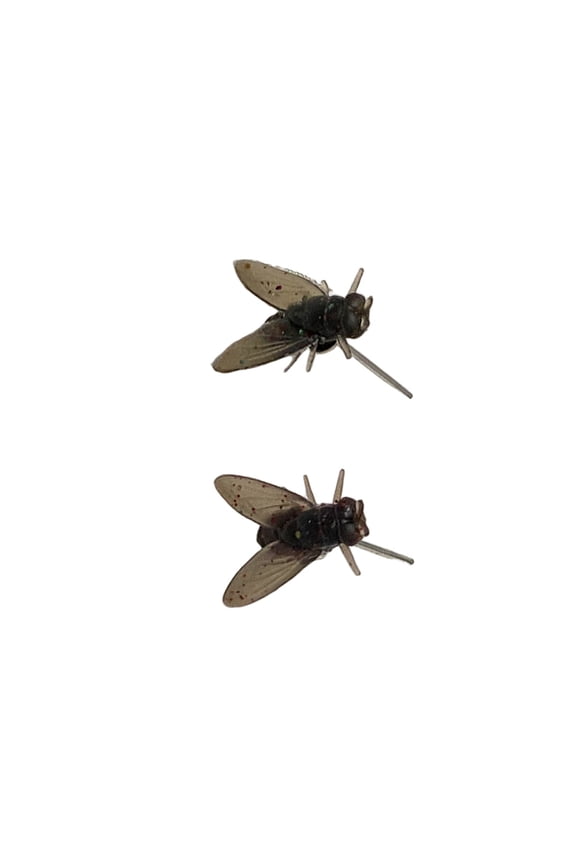 1 Pair Realistic Fly Earrings for Women Funny Halloween Party Abstract Jewelry Gifts for Parties Women Abstract Jewelry