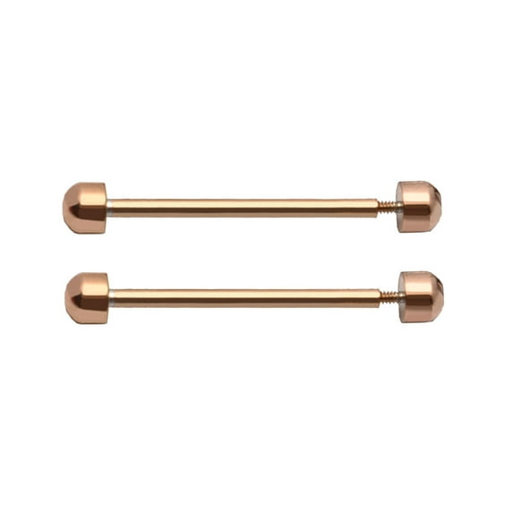 1 Pair Watch Strap Screw Pins for Smart Watch Bracelet Clasp Buckle Friction Tube Watch Replacement Accessories Repair T