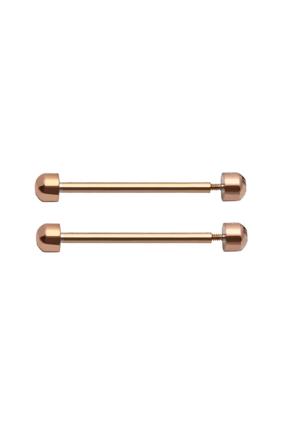 1 Pair Watch Strap Screw Pins for Smart Watch Clasp Buckle Friction Tube Watch Replacement Accessories Repair T