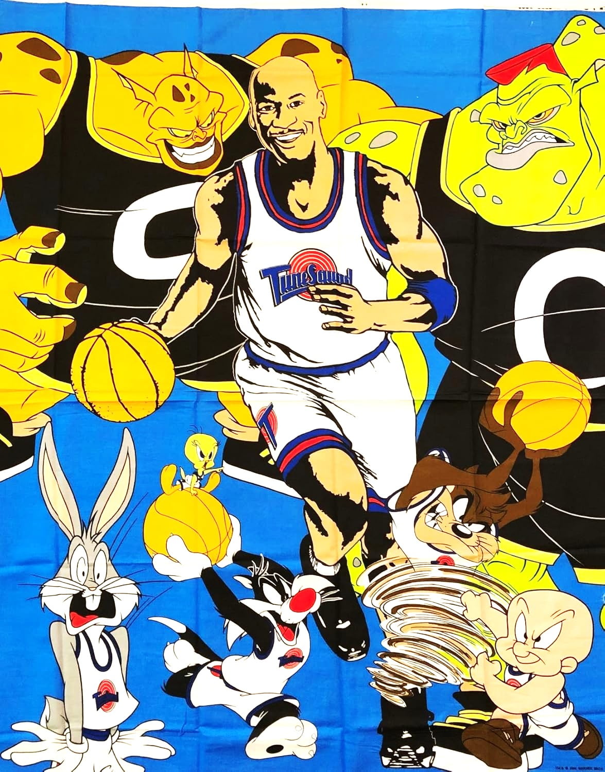 Panel 1996 Bugs Bunny Tweety Michael Jordan Friends Space