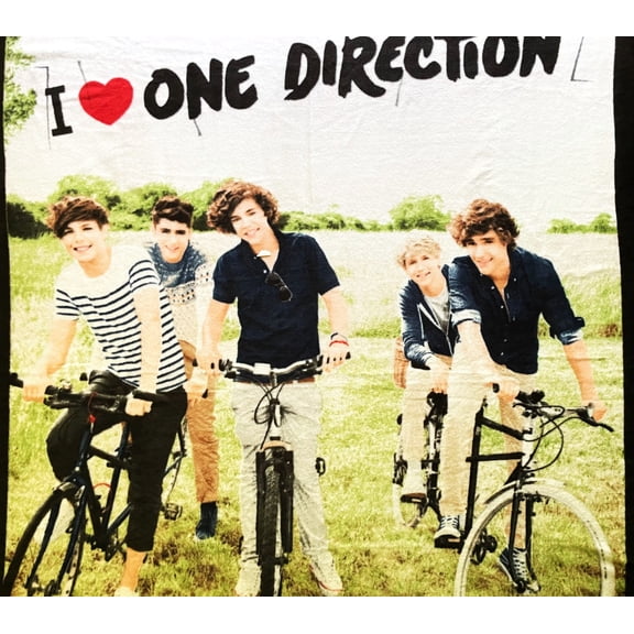 1 Panel - One Direction 1D Harry Niall & More Fleece Fabric Panel (Great for Throw Blanket, Sewing, Craft Project, Wall Hanging, and More) 46" X 60"