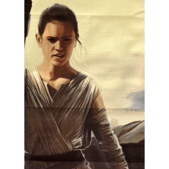 1 Panel - Star Wars Rey & BB8 Cotton Fabric Panel (Great for Quilting, Sewing, Craft Projects, Wall Hangings, and More) 35" X 44"