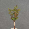 thumbnail image 1 of 1 Pc, 13" Tall Artificial Burgundy & Red Hypericum Berry Bundle With Raffia Features 5 Stems, 1 of 2