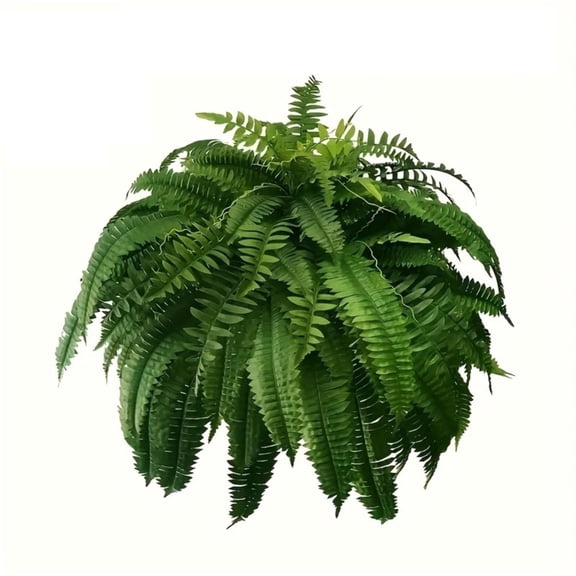 1 Pc 24 Inch Artificial Ferns for Outdoor UV Resistant, Large Faux Boston Fern Plant Full Bush, Fake Greenery for Hanging Baskets Front Porch Urns, Green
