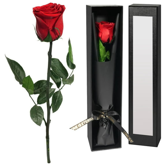 1 Pc Anniversary Rose Preserved Flower Anniversary Wedding Gift Valentines Day Rose Gifts Eternal Mothers Day Gifts Forever Real Rose For Valentines Day, Mothers Day 4 Colors