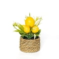 thumbnail image 1 of 1 Pc Artificial Lemon Tree with Woven Basket, Lemon Decor for Kitchen Table, Countertop, Bedroom, Office, Spring Summer Home Decoration, 1 of 4