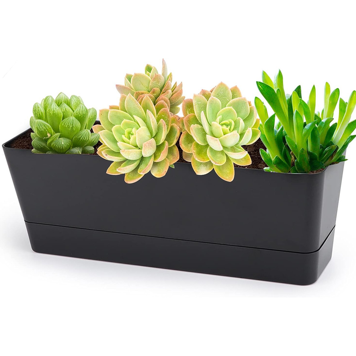 1 Pc Black Rectangle Window Boxes Yahome Herb Planters with Tray Indoor Succulent Cactus Mint Plastic Pot Flower Planter Box for Garden Balcony Office Indoor Outdoor Decoration(12 x 3.8in)