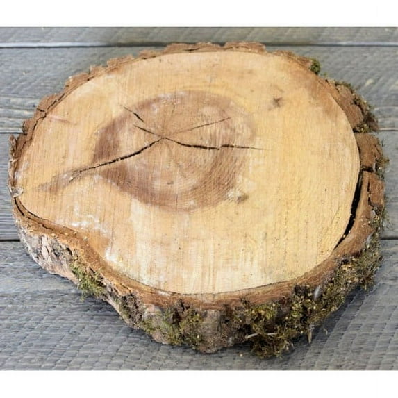 1 Pc, Elm Wood Slices 14-16" Diameter - Large for Holiday, Home and Seasonal Décor