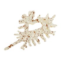 1 Pc Fashion Elegant Conch Hair Clips Hairdo Clip for Women 4.33"x2.56"x1.57" Beige