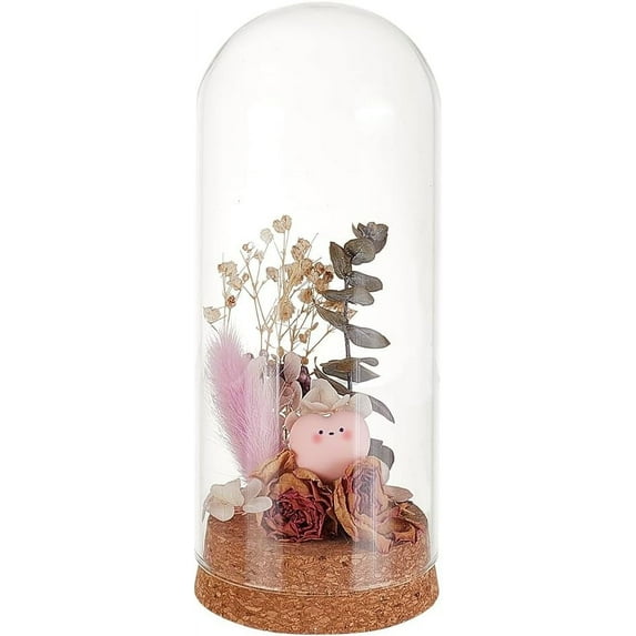 1 Pc Glass Display Dome Cloche 2.56x6.02 Inch Cloche Bell Jar Terrarium with Cork Base Decorative Display Dome Case for Plants Flower Christmas Display Decoration Clear