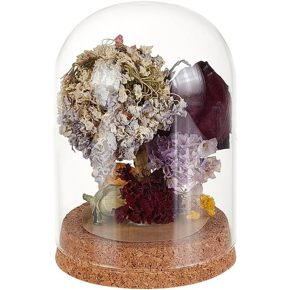 1 Pc Glass Display Dome Cloche 3.54x4.92 Inch Cloche Bell Jar Terrarium with Cork Base Decorative Display Dome Case for Plants Flower Christmas Display Decoration Clear