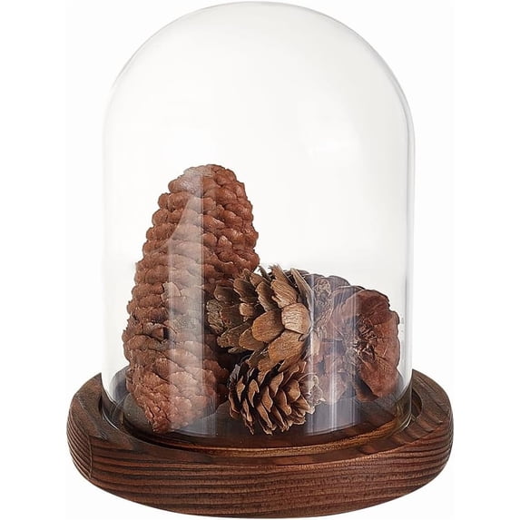 1 Pc Glass Display Dome Cloche 4.06x6.3 Inch Cloche Bell Jar Terrarium with Cork Base Decorative Display Dome Case for Plants Flower Christmas Display Decoration Clear