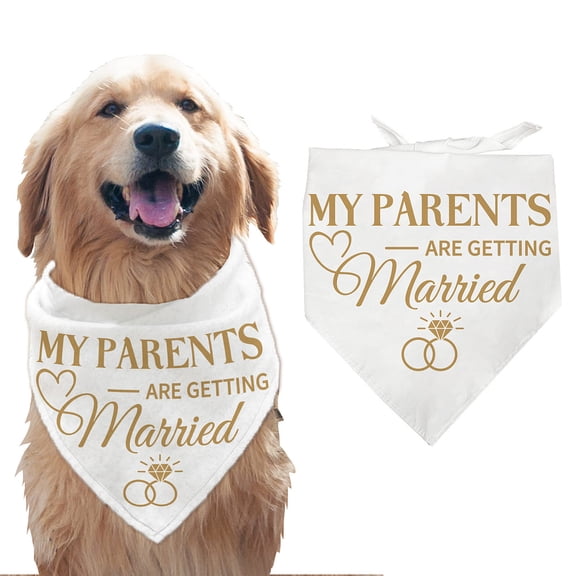 1 Pc Pet Dog Bandana White Cotton Triangle Pet's Bandana My Parents are Getting Married Words Washable Puppy Cat Scarf Bibs Accessories