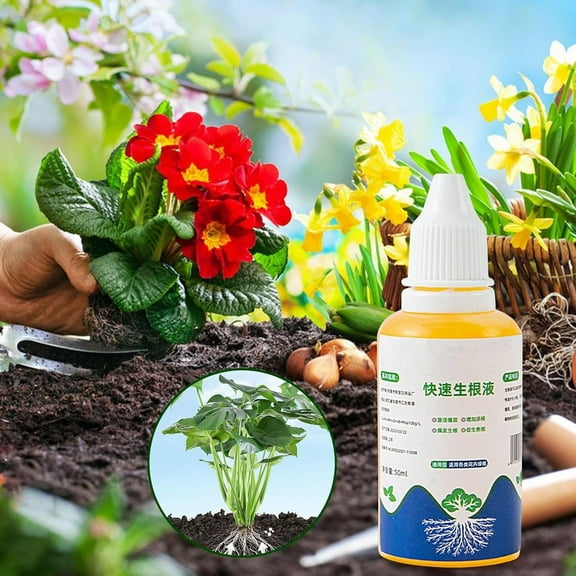 1 Pc Plant Growth Enhancer Supplement — Promotes Photosynthesis & Plant Health, Improves Survival Rate, Concentrated 50ml Solution