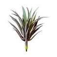 thumbnail image 1 of 1 Pc Realistic Artificial Succulent Yucca Vera, Unpotted Greenhouse Plant for Home Garden Decoration, 1 of 8