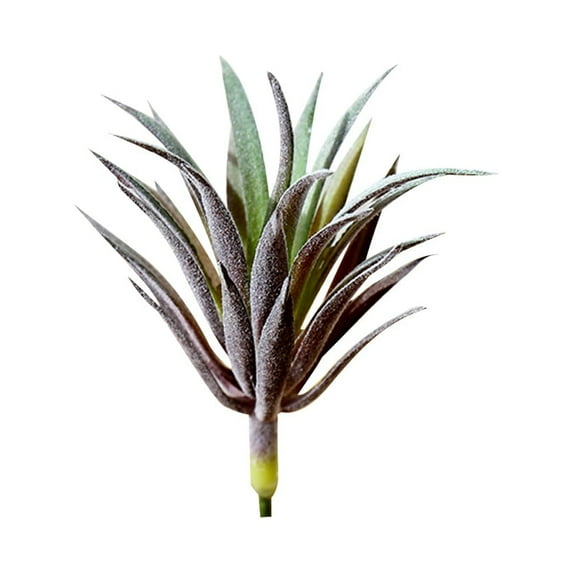 1 Pc Realistic Artificial Succulent Yucca Vera, Unpotted Greenhouse Plant for Home Garden Decoration