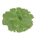 thumbnail image 1 of 1 Pc Round Flower Table Mats, Floral Placemats Vinyl Place Mats for Dinning Table Washable Heat Resistant Kitchen Dining Table Decoration, 13.8 Inch, Green, 1 of 6