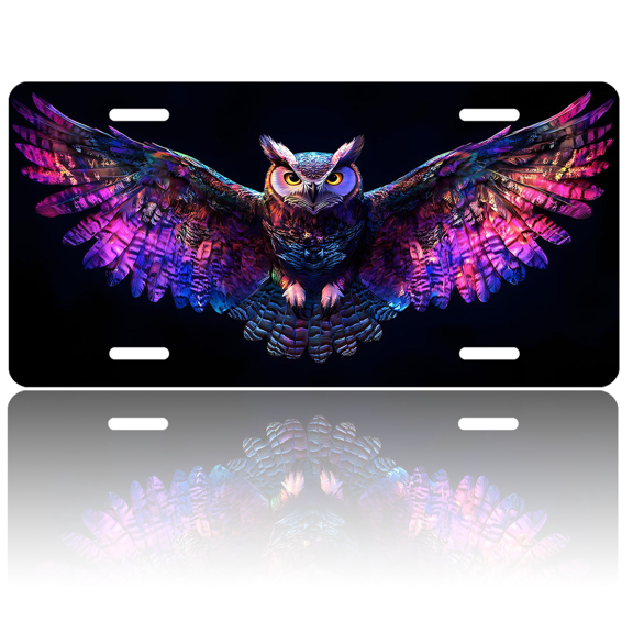 1 Pcs 2D Flat License Plate Covers & Frames, Colorful Owl in For Decorative Front, Waterproof For Decoration Aluminum License Plate Covers & Frames Cover For Men Women, 12" X 6"