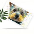 thumbnail image 1 of 1 Pcs 2D Flat License Plate Covers & Frames, Colorful Puppy For Decorative Front, Waterproof For Decoration Aluminum License Plate Covers & Frames Cover For Men Women, 12" X 6", 1 of 6