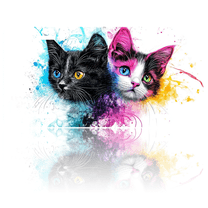 1 Pcs 2D Flat License Plate Covers & Frames, Two Colorful Kittens For Decorative Front, Waterproof For Decoration Aluminum License Plate Covers & Frames Cover For Men Women, 12" X 6"