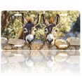thumbnail image 1 of 1 Pcs 2D Flat License Plate Covers & Frames, Two Donkeys Peeking For Decorative Front, Waterproof For Decoration Aluminum License Plate Covers & Frames Cover For Men Women, 12" X 6", 1 of 7
