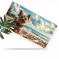 thumbnail image 1 of 1 Pcs 2D Flat License Plate Covers & Frames, A Yorkie For Decorative Front, Waterproof For Decoration Aluminum License Plate Covers & Frames Cover For Men Women, 12" X 6", 1 of 6