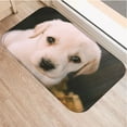 thumbnail image 1 of 1 Pcs 40*60cm Cute Cat Dog Pattern Floor Mat Anti-Slip Carpet Doormat Indoor Kitchen Bathroom Living Room Door Mat Rug, 1 of 6