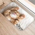 thumbnail image 1 of 1 Pcs 40*60cm Cute Cat Dog Pattern Floor Mat Anti-Slip Carpet Doormat Indoor Kitchen Bathroom Living Room Door Mat Rug, 1 of 6