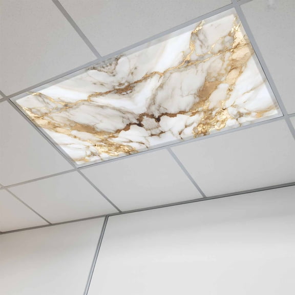 1 Pcs Abstract Art Fluorescent Light Covers White Marble Pattern Gold Crack Rock Texture Magnetic Light Covers for Ceiling Lights 4 x 2 ft Drop Ceiling Lights Cover Shade for Office, Home, Hospital