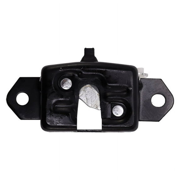 1 Pcs Black Car Lock Rear Door Lock for D40