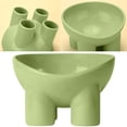 thumbnail image 1 of 1 Pcs Elevated Cat Bowls 15° Raised Cat Food Bowl Cats Dishes Pet Food and Water Bowls for Indoor Cats and Small Dogs(Green), 1 of 6