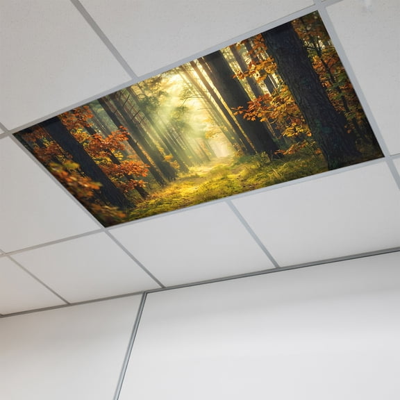 1 Pcs Enchanted Forest Fluorescent Light Covers Fall Nature Sunlight Sunbeams Path Magnetic Light Covers for Ceiling Lights 4 x 2 ft Drop Ceiling Lights Cover Shade for Office, Home, Hospital