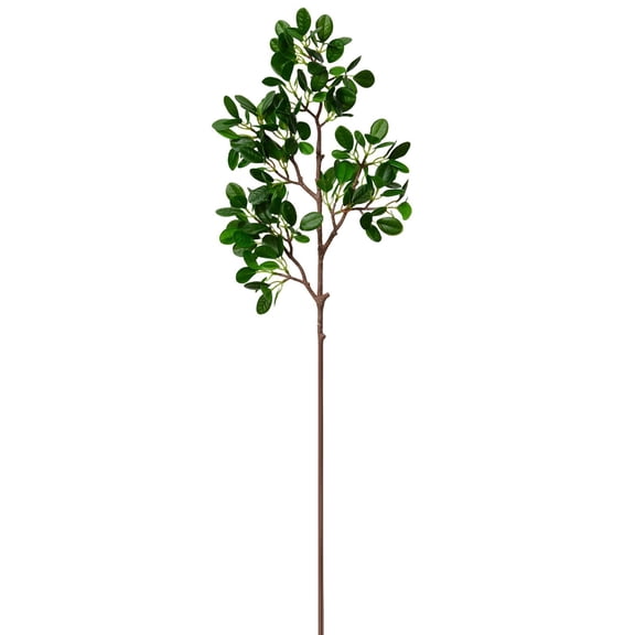 1 Pcs Ficus Microcarpa Branch, Faux Ficus Twig, Artificial Greenery Ficus Branches Faux Eucalyptus Stems for vase with Green Plants Branches for HomeTable Centerpiece Decor 58cm
