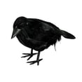 thumbnail image 1 of 1 Pcs Halloween Black Crows Feathered Crows Realistic Looking Ravens Large Handmade Black Crow for Halloween Decoration Party Supplies, 1 of 7