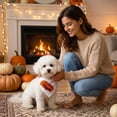 thumbnail image 1 of 1 Pcs Halloween Dog Bandanas, Triangle Dog Scarf Pumpkin Spider Bat Ghost Pet Bandana Bibs Handkerchief For Small Medium Large Dogs Puppy Halloween Holiday Birthday Party Supply, 1 of 7