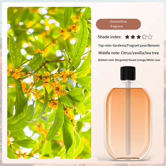 1 Pcs Indoor Aromatherapy Room With Long-Lasting Fragrance Air Humidification And Freshener Toilet Deodorization Parts