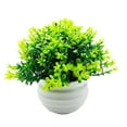 thumbnail image 1 of 1 Pcs Mini Artificial Plant, Non-Fading Potted Fake Plants with Planter Pot Decorative Photo Props Plastic Desktop Decorative Faux Plant for Home Desk Room Decoration, 1 of 5
