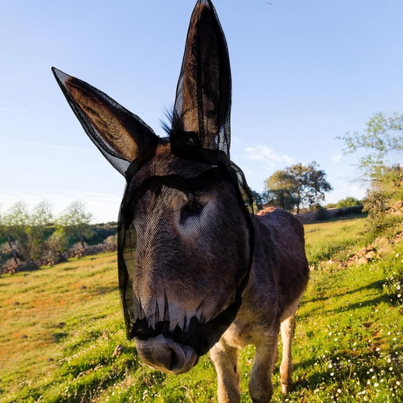 1 Pcs Mini Donkey Fly Mask with Ears Protection Breathable Mule Fly Mask with Long Ears Protection from Insects and Bugs Soft Mesh with Adjustable Fastener Easy to get on and Off(Black)