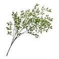thumbnail image 1 of 1 Pcs Nandina Artificial Greenery Stem, Artificial Plant Leaves Bunches, Green Nandina Faux Branches for Vase,Artificial Plants for Shop Garden Office Home Décor 43.31", 1 of 7