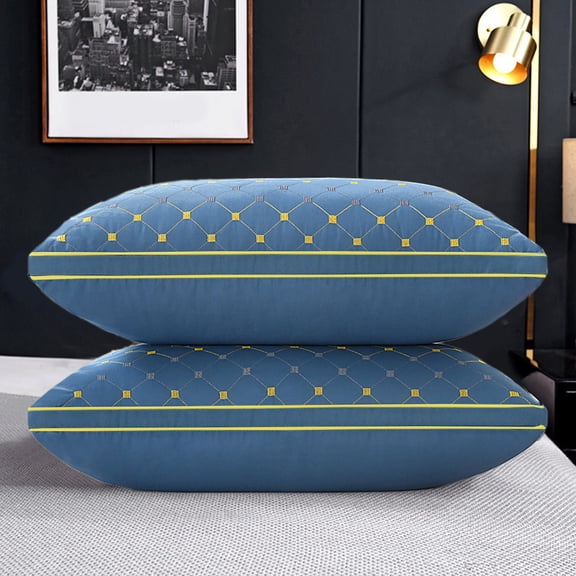 1 Pcs Soft Down Velvet Pillow Core 29x19 Inch, Cool Quality Pillow Insert for Side and Back Sleepers