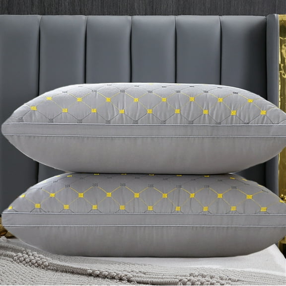 1 Pcs Soft Down Velvet Pillow Core 29x19 Inch, Cool Quality Pillow Insert for Side and Back Sleepers