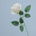 thumbnail image 1 of 1 Pcs Valentine Velvet Single Roses Artificial Flowers, Fake Silk Rose with Long Stem, Faux Real Touch Florals for DIY Bouquet, Wedding, Table Centerpieces, Home Decor, Beige, 1 of 8