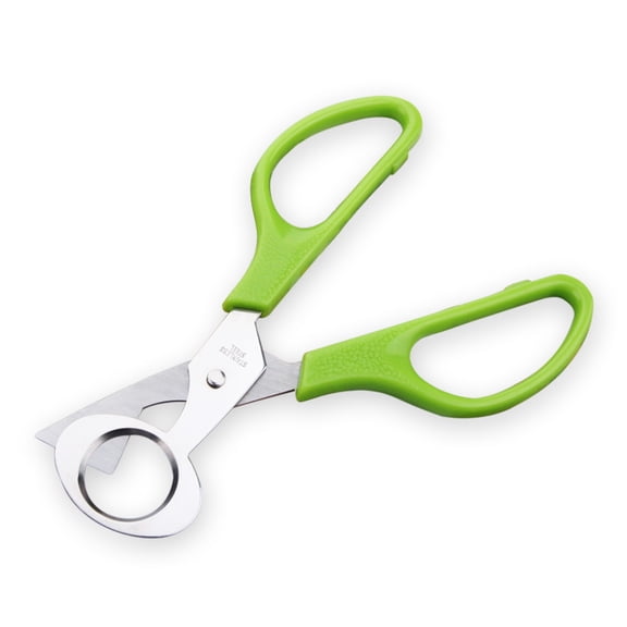 1-Piece Quail Egg Cutter Scissors – Kitchen Egg Shears Tool (Green) | Stainless Steel Bird Egg Opener & Cutter – Multipurpose Breakfast Gadget