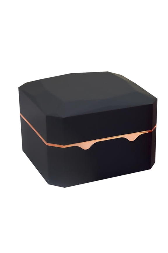 1 Piece Watch Light Box Soft Flannel Single Slot Watch Case LED Light Gift Box for Anniversary Birthday Valentine's Day, Black