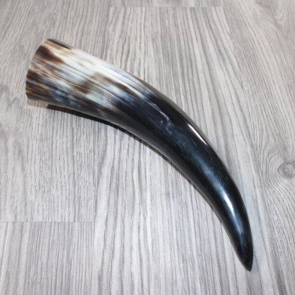1 Polished Cow Horn #4963 Natural Colored