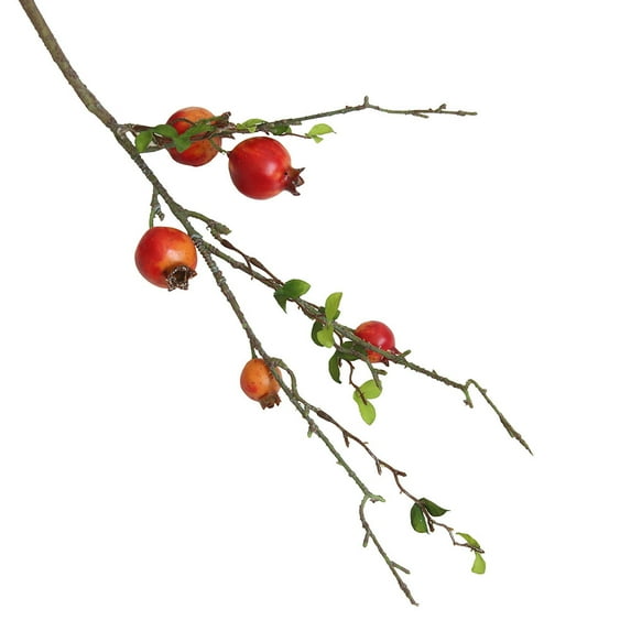 1 Pomegranate Dry Branch Simulated Fruit Fruit Simulated Flower Artificial Flower Clearance! Pomegranate Dry Branch Simulation Fruit Fruit Simulation Flower Artificial Flower Orange, Fake Flowers